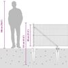 Product Thumbnail Image 17 of 17