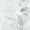 Product Thumbnail Image 10 of 12