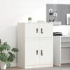 vidaXL Storage Cabinet White 80 x 40 x 40 cm Cold-Rolled Steel