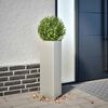 Product Thumbnail Image 2 of 12