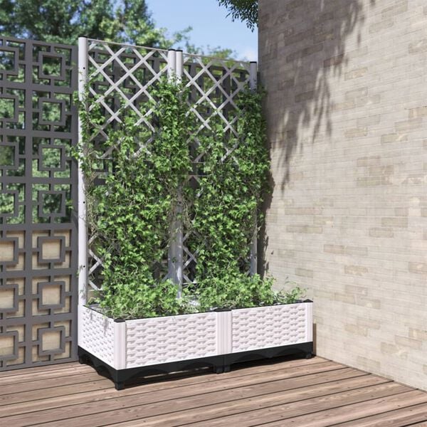 Showing Product Image 2 of 8