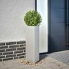 Product Thumbnail Image 2 of 11