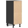 vidaXL Bottom Cabinet Riga Black 30x44.5x81.5 cm Engineered Wood