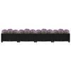 vidaXL Raised Bed 160x40x23 cm Polypropylene