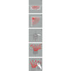 Product Thumbnail Image 4 of 10