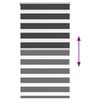 Product Thumbnail Image 5 of 18