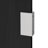vidaXL 2 Piece Side Panels for Door Canopy Black Tempered Glass