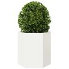 Product Thumbnail Image 5 of 13