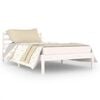 vidaXL Bed Frame without Mattress Solid Wood Pine 100x200cm White
