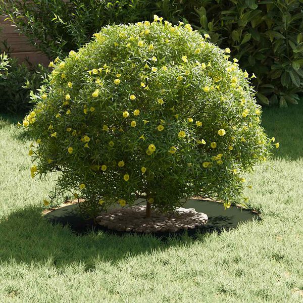 vidaXL suitable for Flat Tree Ring Olive green &Oslash;30 / 60 cm Steel