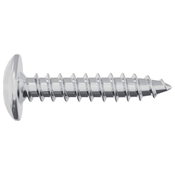 vidaXL Self Tapping Nail 2 pcs Zinc-coated 4 x 20 mm Steel