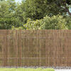 Product Thumbnail Image 2 of 6