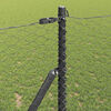 Product Thumbnail Image 4 of 17