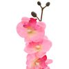 Product Thumbnail Image 4 of 5