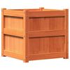 vidaXL Garden Planter Wax Brown 50x50x50 cm Solid Wood Pine