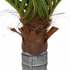 Product Thumbnail Image 4 of 5