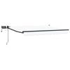 vidaXL Manual Retractable Awning with LEDs 3.5 x 2 m