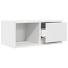 vidaXL TV Cabinet White 60x31x25.5 cm Engineered Wood