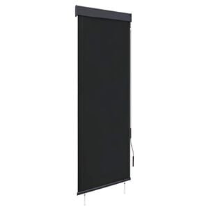 vidaXL Outdoor Roller Blind 60x250 cm Anthracite