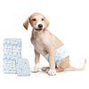 vidaXL Disposable Dog Diaper Male 50 pcs White S