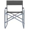 vidaXL Director's Chairs 2 pcs Steel Grey