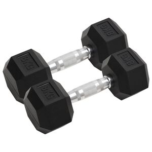vidaXL Dumbbells 2 pcs 16 kg Total Cast Iron