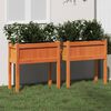 vidaXL Garden Planters 2 pcs with Legs Wax Brown Solid Wood Pine