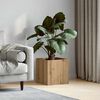 Product Thumbnail Image 2 of 10