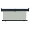 vidaXL Balcony Side Awning 165x250 cm Grey