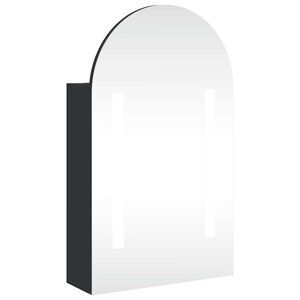 vidaXL Bathroom Mirror Cabinet with LED Light Arched Black 42x13x70 cm