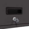 Product Thumbnail Image 11 of 14