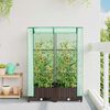 Product Thumbnail Image 3 of 9