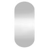 vidaXL Wall Mirror 40x90 cm Glass Oval
