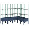 Blue_grey