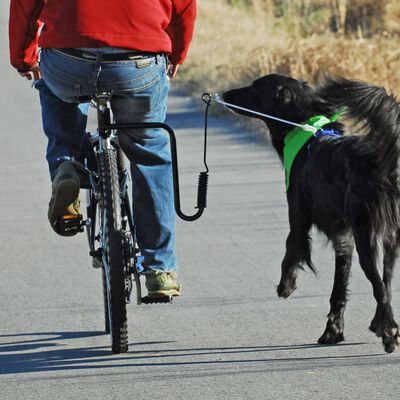 SPRINGER Dog Bicycle Exerciser Kit
