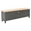 vidaXL TV Cabinet Black 120x30x40 cm Wood