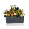 LECHUZA Planter Balconera Color 50 ALL-IN-ONE Slate 15673