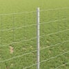 Product Thumbnail Image 4 of 7