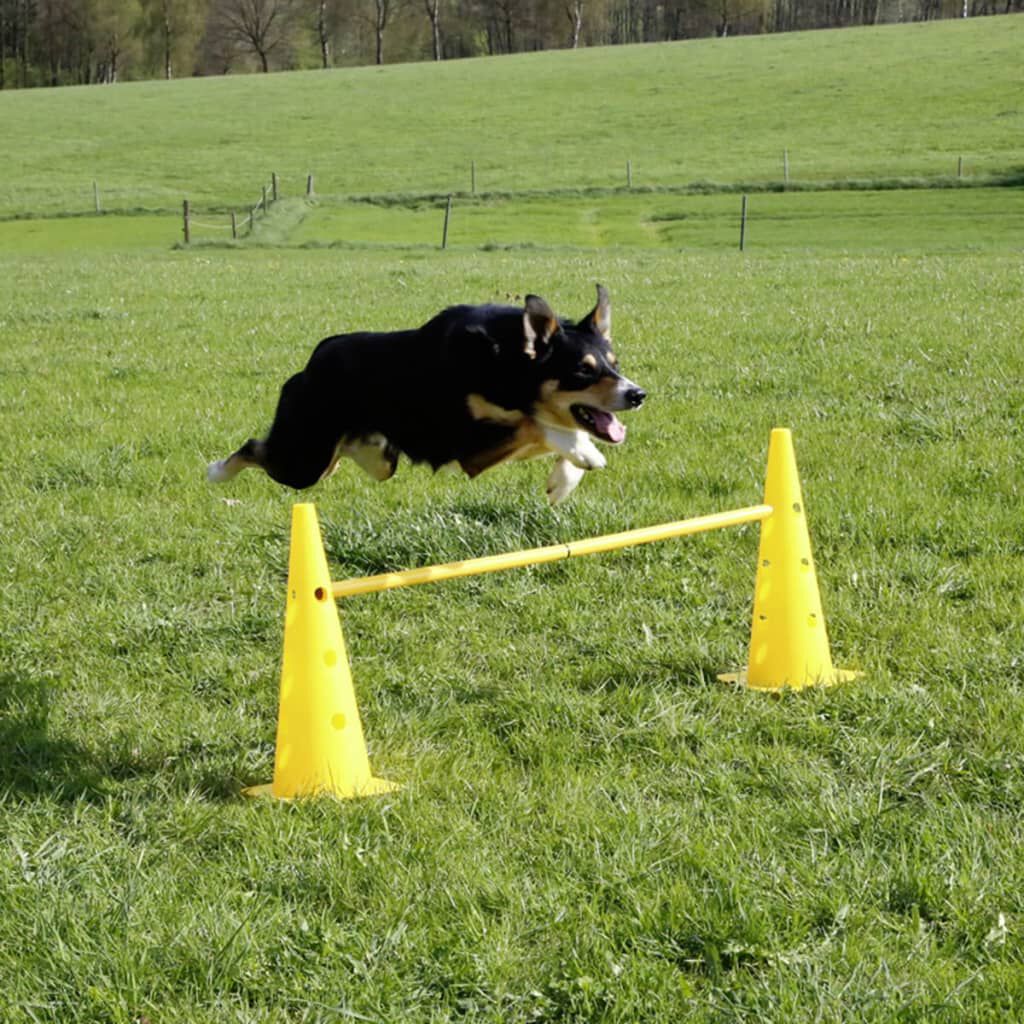 Kerbl 2 in 1 Agility Hurdle Cone Set Yellow 81994 vidaXL