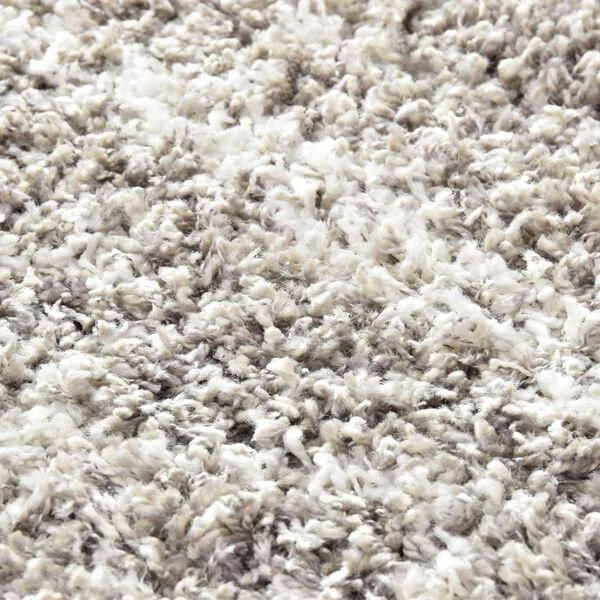 vidaXL Rug Berber Shaggy PP Sand and Beige 80x150 cm