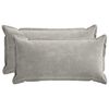 Light_Grey