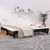 vidaXL Pull-out Day Bed without Mattress Black 2x(80x200) cm