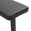 vidaXL Foldable Weight Bench Folding Black 109 x 29 x 42 cm Steel