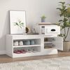 vidaXL Shoe Cabinet High Gloss White 100x42x60 cm Engineered Wood