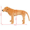 Product Thumbnail Image 5 of 5