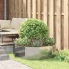 Product Thumbnail Image 4 of 11
