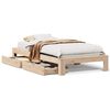vidaXL Bed Frame without Mattress 90x200 cm Solid Wood Pine
