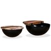 vidaXL Coffee Table Set 2 Pieces Solid Reclaimed Wood Black Bowl Shape
