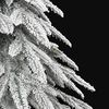 Product Thumbnail Image 6 of 8