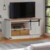 vidaXL TV Cabinet HALDEN with Sliding Door White 110x40x60 cm Solid Wood